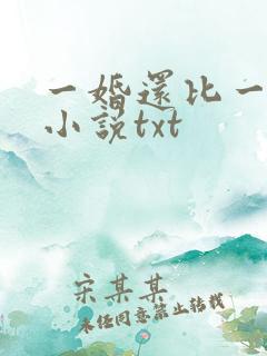 一婚还比一婚高小说txt