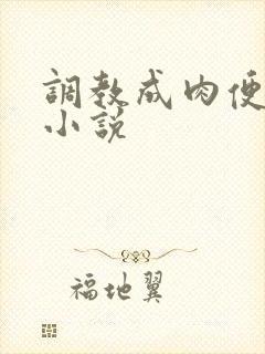 调教成肉便器的小说