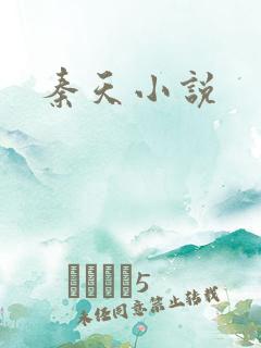 秦天小说