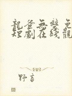 龙爸无双免费的短剧在线观看完整版