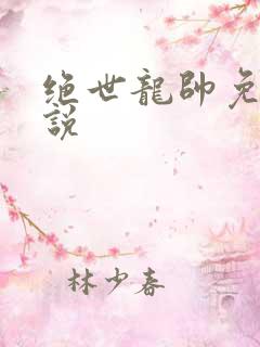 绝世龙帅免费小说