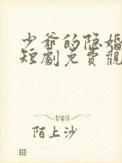 少爷的隐婚罪妻短剧免费观看