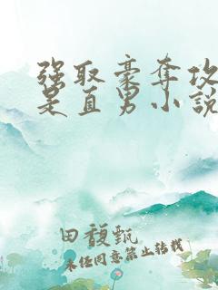 强取豪夺攻 受是直男小说推荐