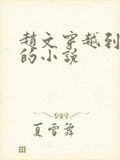 赵文穿越到明朝的小说