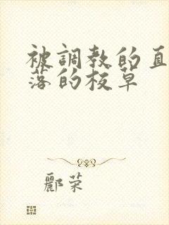 被调教的直男堕落的校草