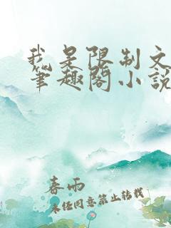 我是限制文的女笔趣阁小说