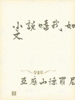 小说嗜我如命全文