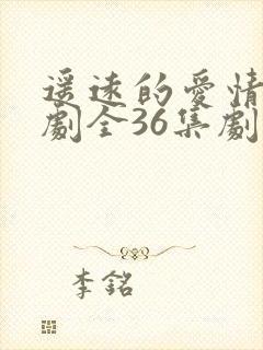 遥远的爱情电视剧全36集剧情