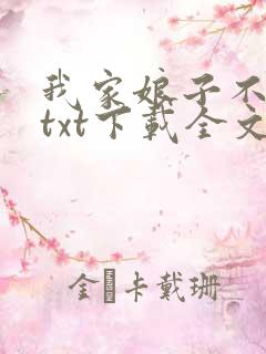 我家娘子不对劲txt下载全文下载