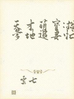 天才萌宝:总裁爹地追妻忙