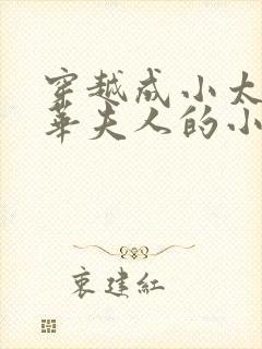 穿越成小太监芳华夫人的小说