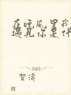 在晚风里我终于遇见你是什么歌