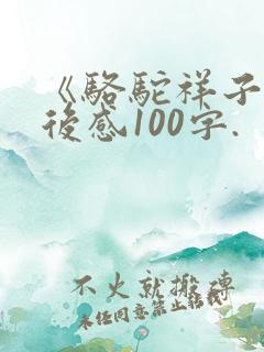 《骆驼祥子》读后感100字.