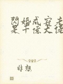 闪婚成宠老公竟是千亿大佬免费阅读