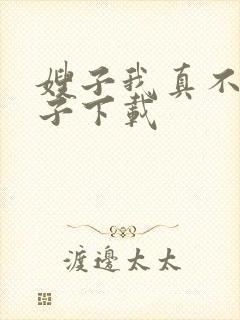 嫂子我真不是傻子下载