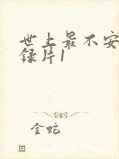 世上最不安人纪录片1