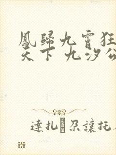 凤归九霄狂妃逆天下 九汐公子