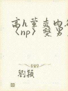 高h荤爽肉欲文〈np〉双男主