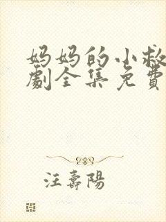 妈妈的小救星短剧全集免费