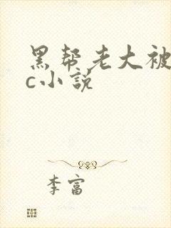 黑帮老大被警察c小说