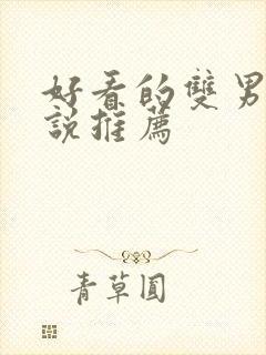 好看的双男主小说推荐