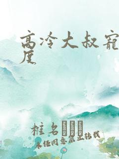 高冷大叔宠妻无度