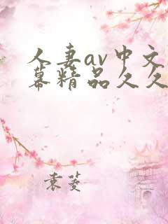 人妻av中文字幕精品久久久