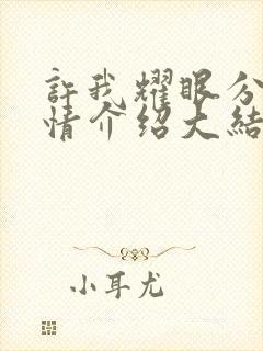 许我耀眼分集剧情介绍大结局