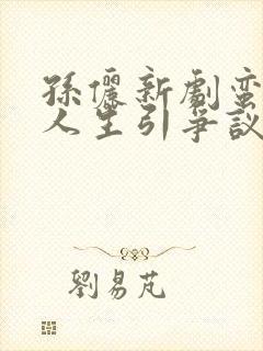 孙俪新剧蛮好的人生引争议