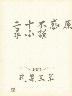二十不惑原著周寻小说