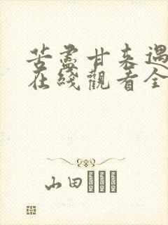 苦尽甘来遇见你在线观看全集完整