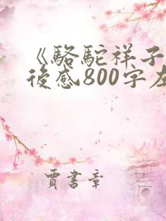 《骆驼祥子》读后感800字左右