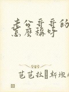 老公哥哥的儿子怎么称呼