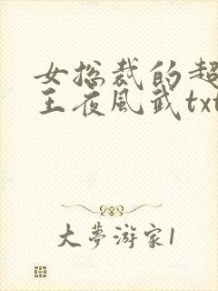 女总裁的超级兵王夜风武txt