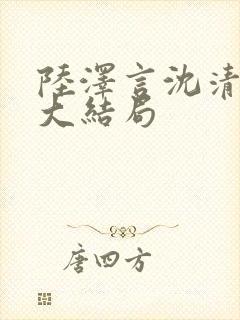 陆泽言沈清雪后大结局