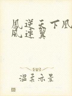 凤逆天下凰北月风连翼