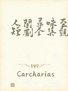 人间寻味至清欢短剧全集观看