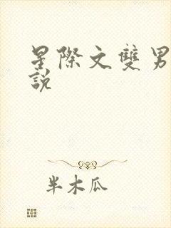 星际文双男主小说