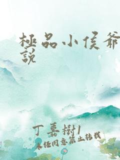 极品小侯爷的小说