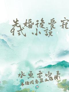 先婚后爱宠妻99式 小说
