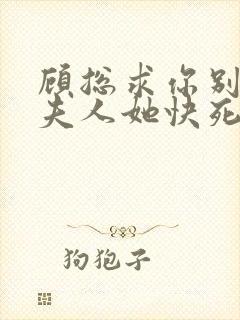 顾总求你别虐,夫人她快死了