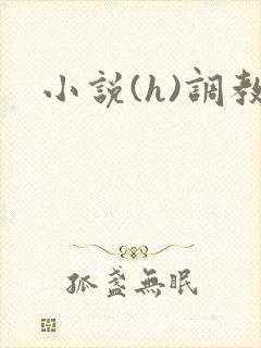 小说(h)调教