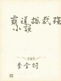 霸道总裁强制爱 小说