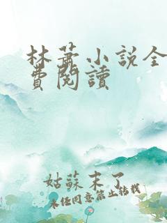 林萧小说全文免费阅读