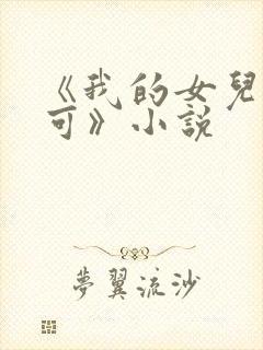 《我的女儿叫小可》小说
