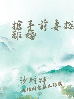 抢手前妻总裁请离婚