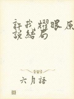 许我耀眼原著小说结局