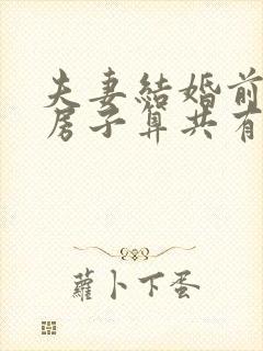 夫妻结婚前买的房子算共有财产吗