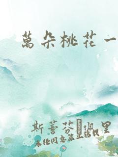 万朵桃花一世开