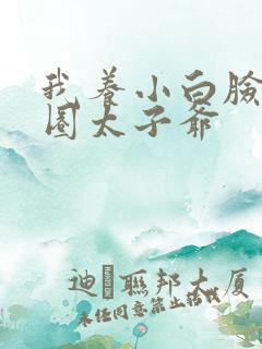 我养小白脸是京圈太子爷